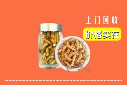 收购资讯:长治武乡县回收散虫草