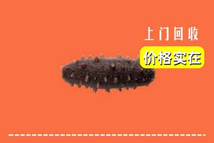收购资讯:长治武乡县回收海参