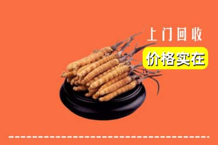 收购资讯:长治武乡县回收冬虫夏草